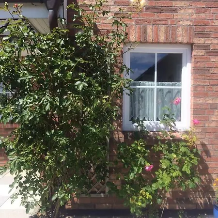 Mittelreihenhaus Carla - Sylt, Westerland